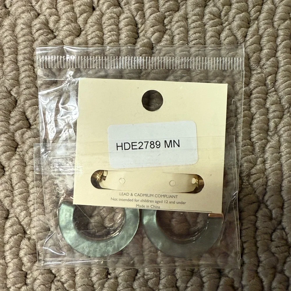2/$15 - Mint Green Open Circle Hoop Earrings Gold Tone Faceted Statement